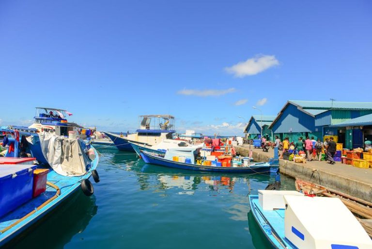 aruba s unique branding strategy