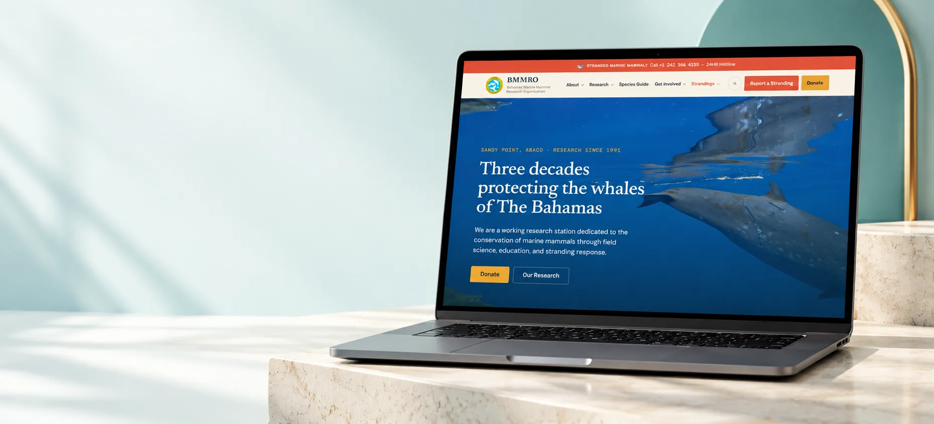 Bahamas web design for BMMRO, shown on a laptop