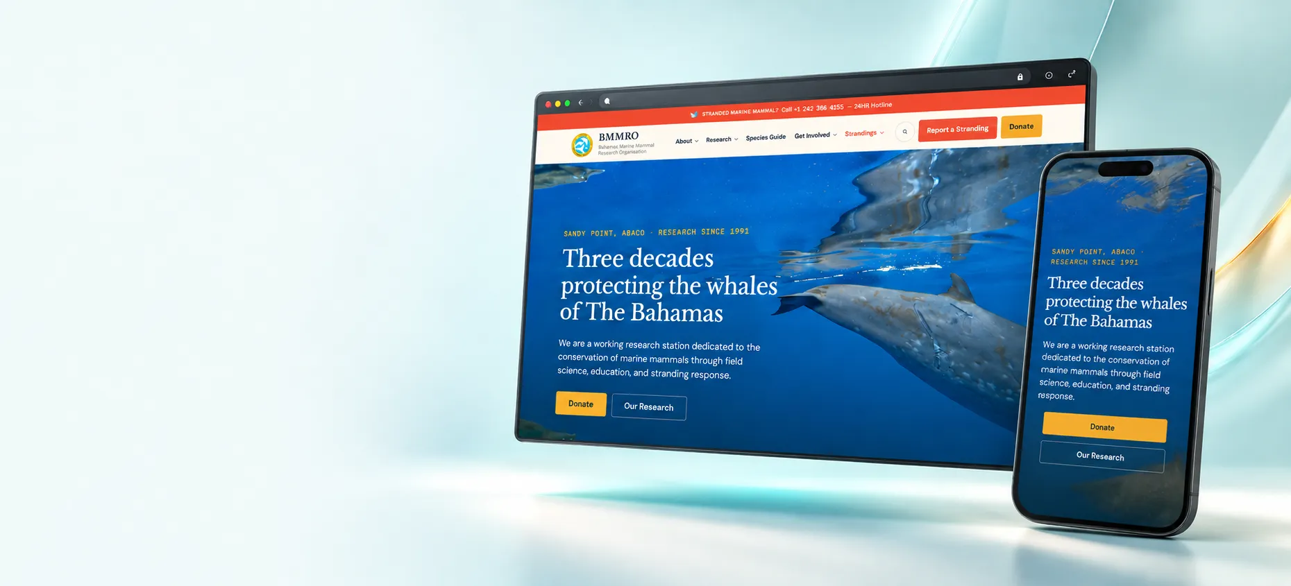 Bahamas web design by First Glance: the BMMRO website on a desktop browser and a smartphone