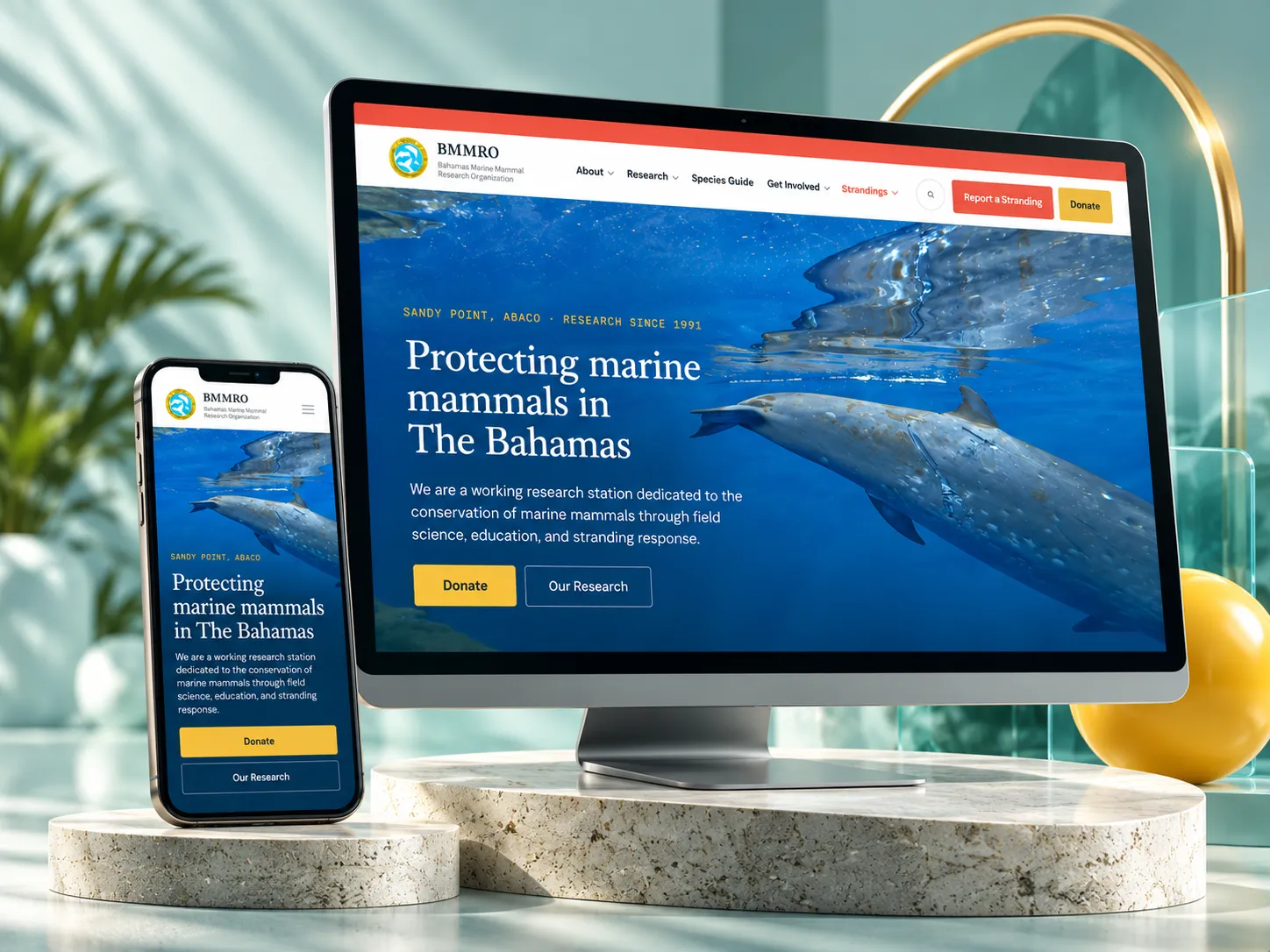 The BMMRO website shown on a desktop and a phone