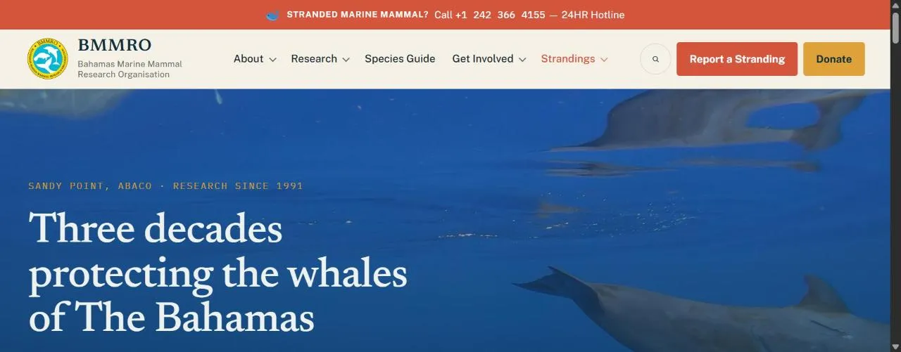 Homepage of BMMRO, built by First Glance Bahamas